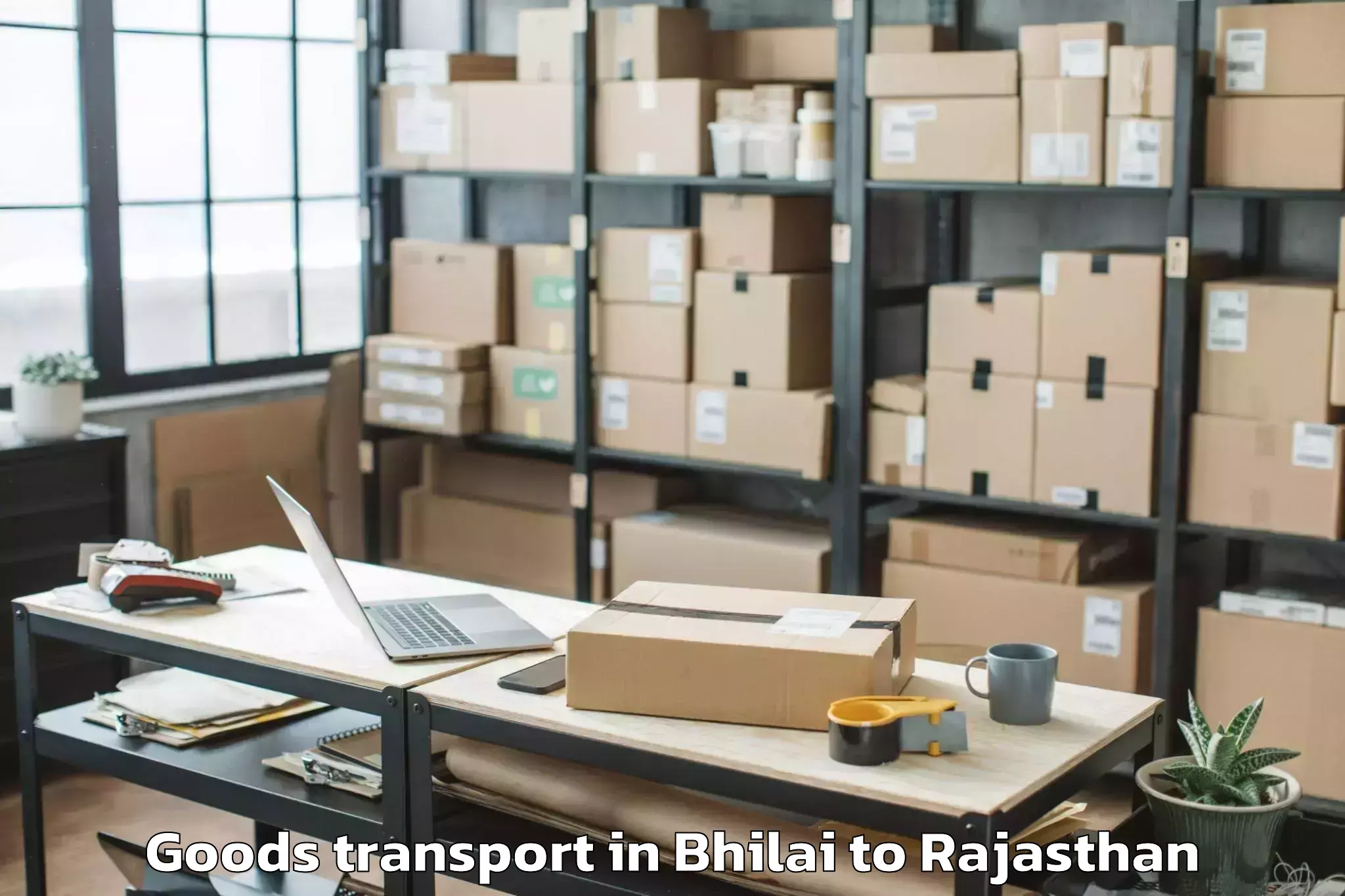 Leading Bhilai to Tonk Goods Transport Provider